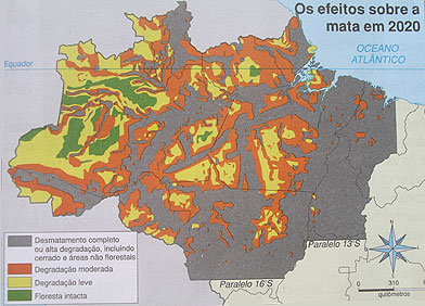 Urwald-Abholzung, Urwald Rodung, Raubbau, Urwald Brasilien